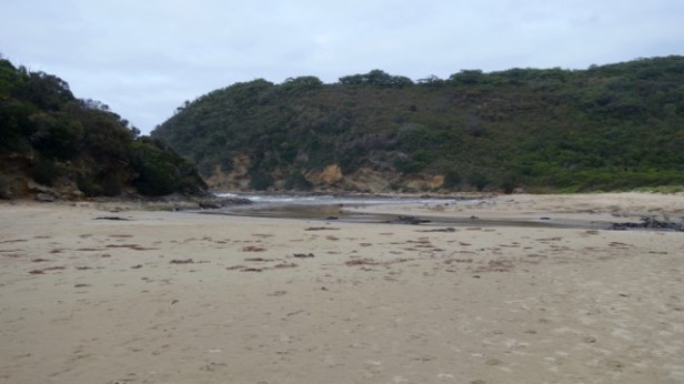 DSC03320