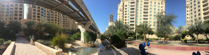 IMG_5156.jpg