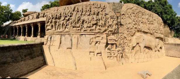 IMG_8003.jpg